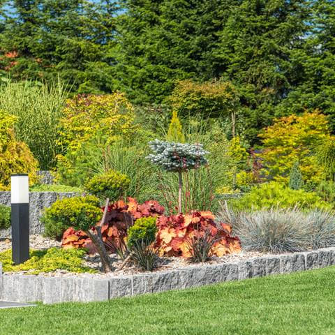 A planted rockery bed with ornamental grasses and a stone retaining wall
